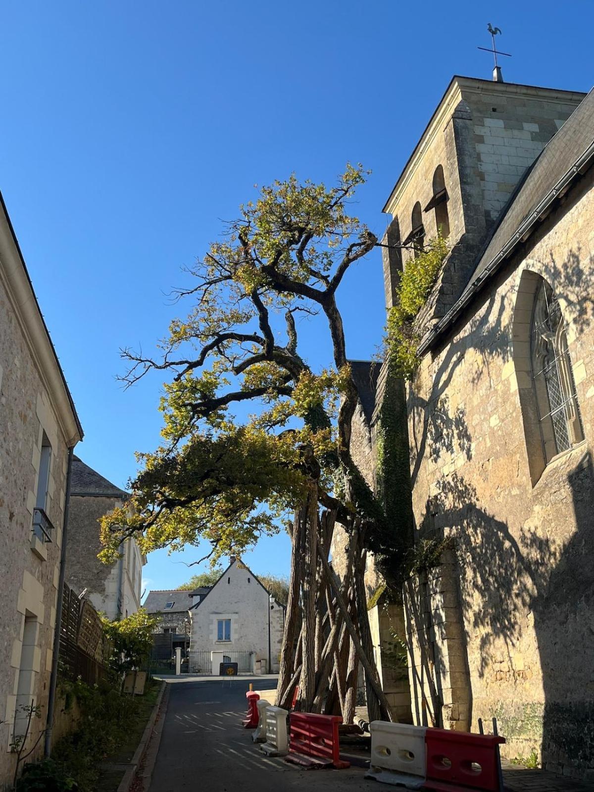 L'Armurerie Proche Islette Et Azay Le Rideau Cheillé Exterior foto